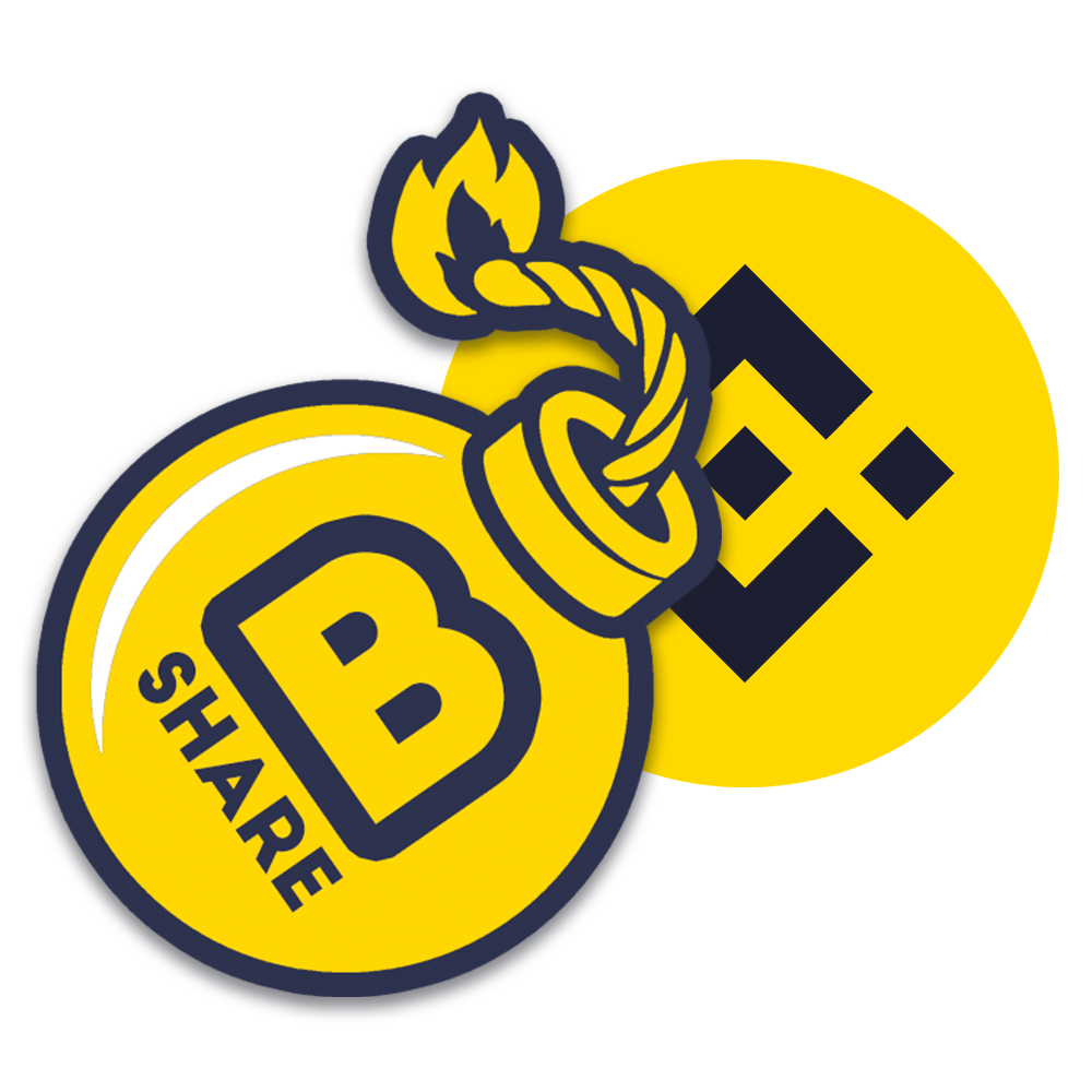 BSHARE-BNB-LP Logo